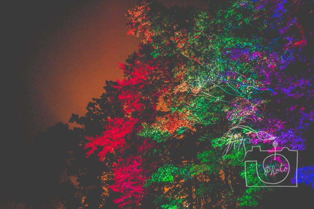 SJP Productions environmental lighting at a festival